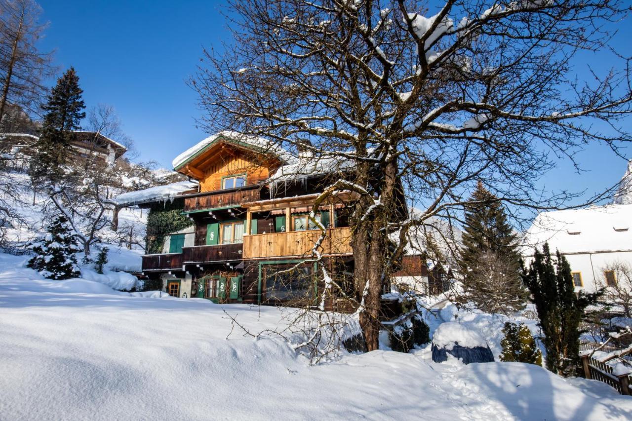 Haus Weidmannsheil - Wohnen Im Romantischen Forsthaus Werfen Ngoại thất bức ảnh