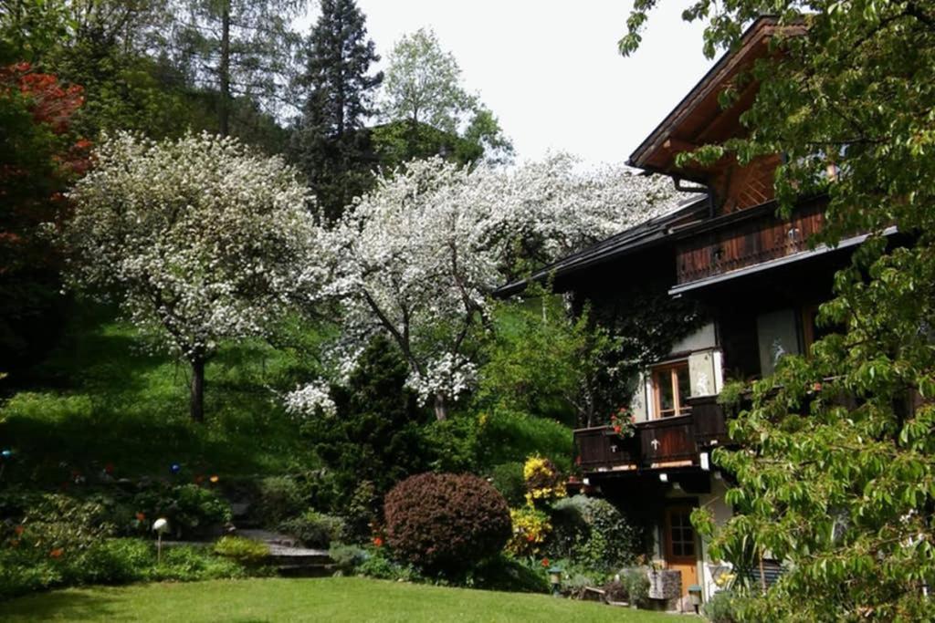 Haus Weidmannsheil - Wohnen Im Romantischen Forsthaus Werfen Ngoại thất bức ảnh