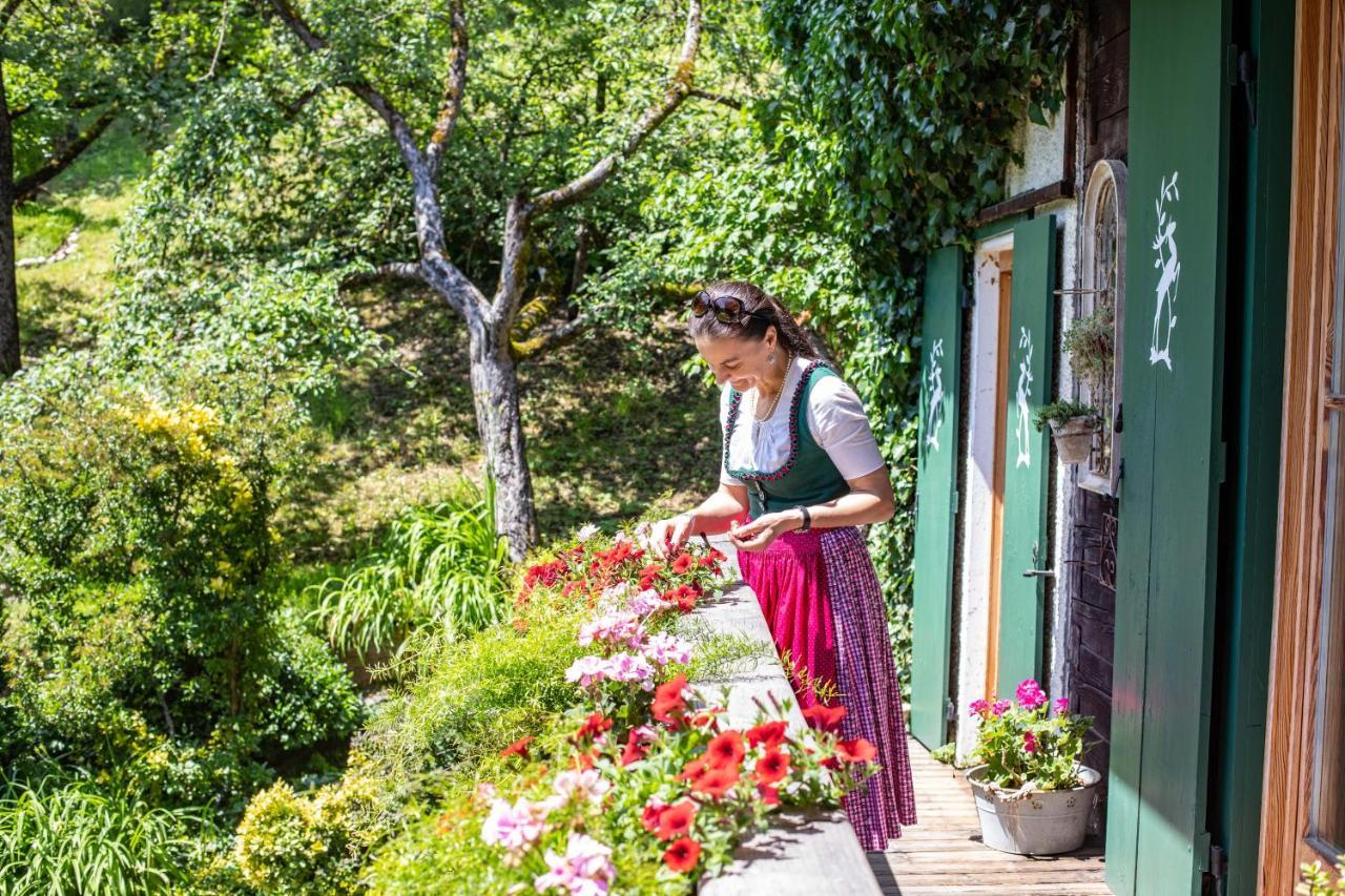 Haus Weidmannsheil - Wohnen Im Romantischen Forsthaus Werfen Ngoại thất bức ảnh